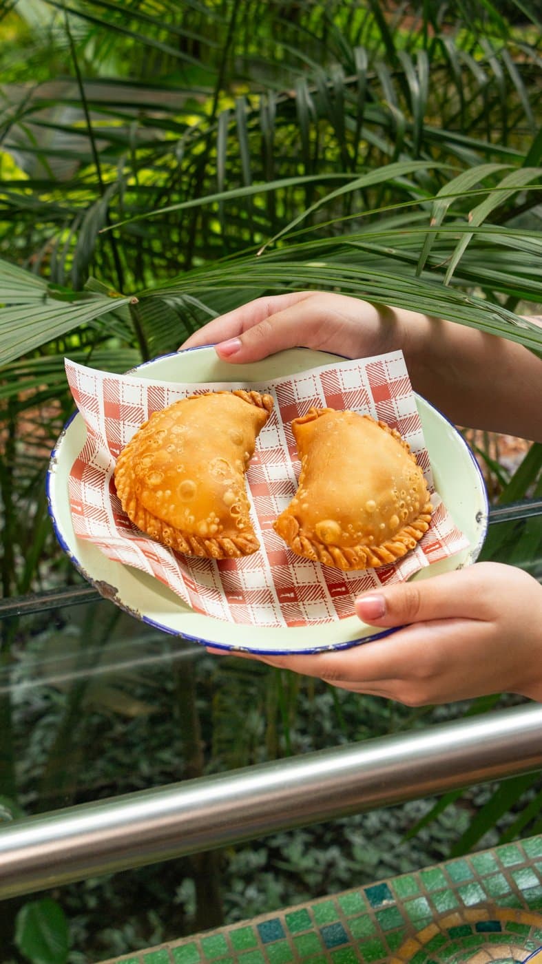Empanada de pollo